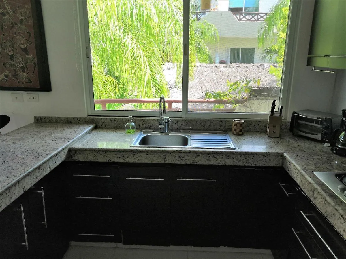 Margaritas Condos In Downtown Of Playa Playa del Carmen 0*,